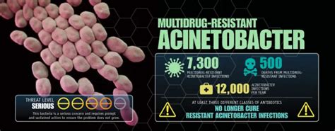 acinetobacter biochemical test|Acinetobacter: Disease, Properties, Resistance • Microbe Online.